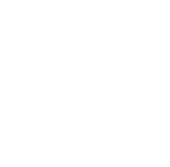 The Ohio State University